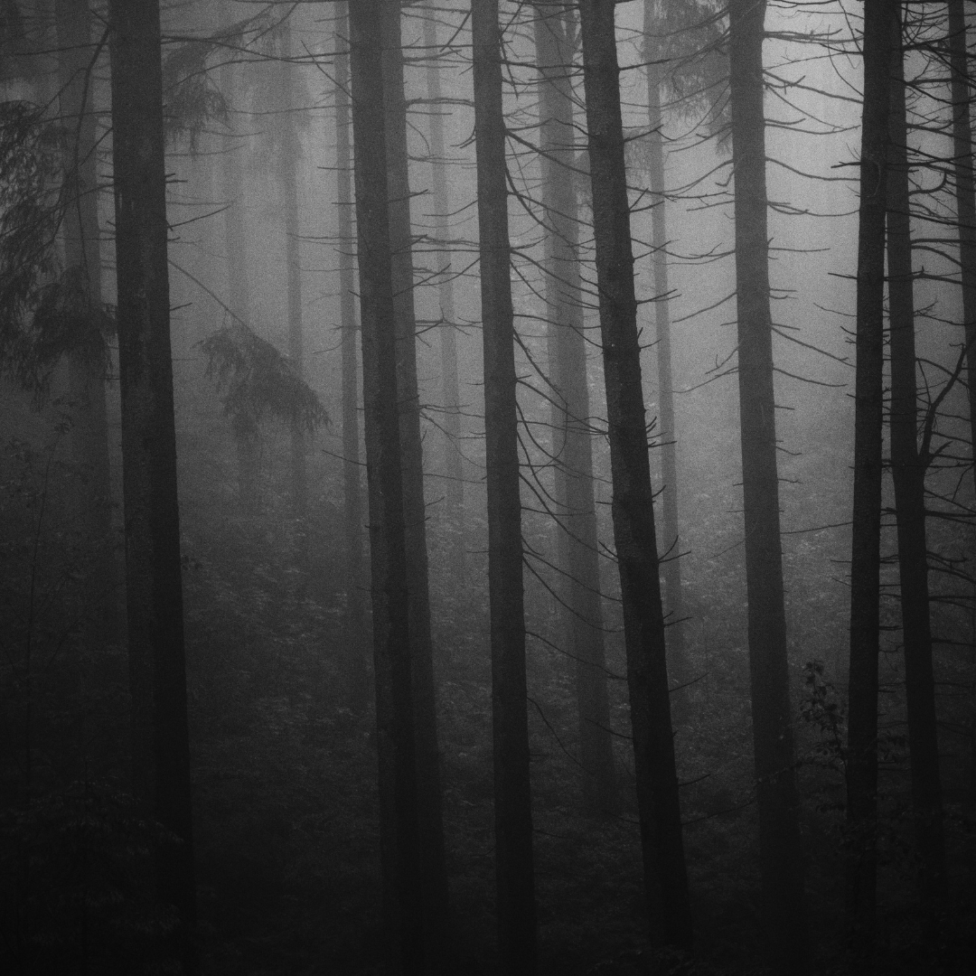 Appalachian landscape – setting of Southern Gothic novel