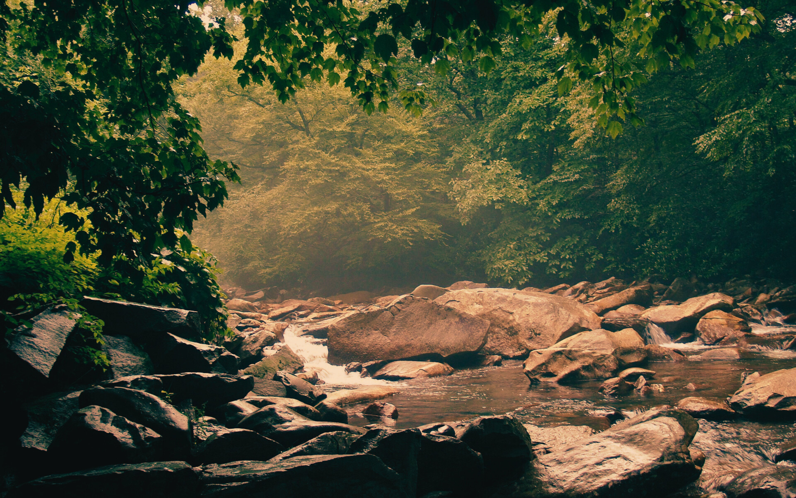 Appalachian landscape – setting of Southern Gothic novel